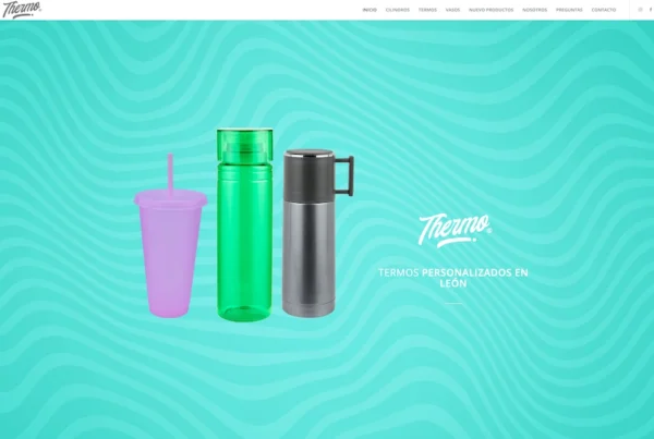 diseño de paginas web leon guanajuato